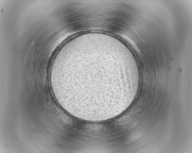 X0000088581023200706221311