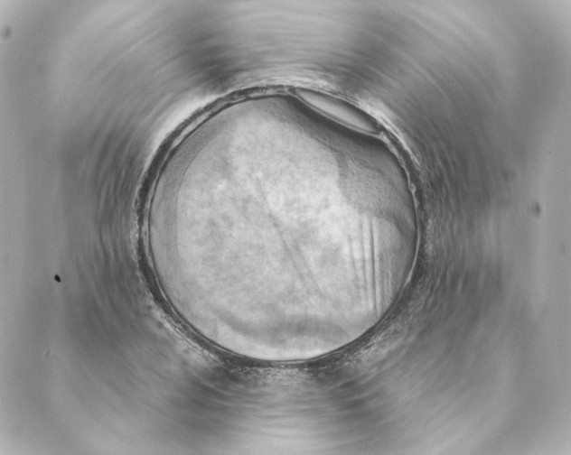 X0000088581024200706221311