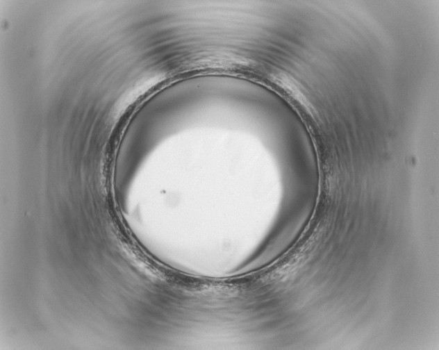 X0000088581026200706221311