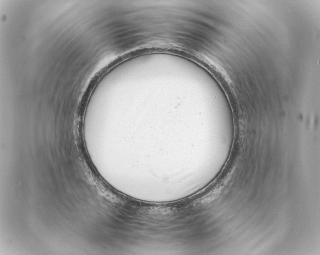 X0000088581029200706221311