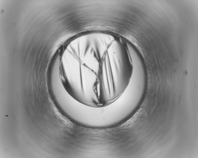 X0000088581030200706221311