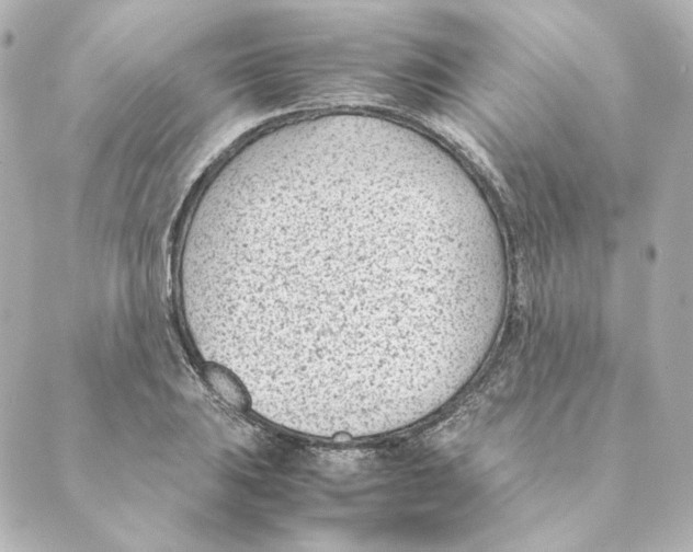 X0000088581031200706221311