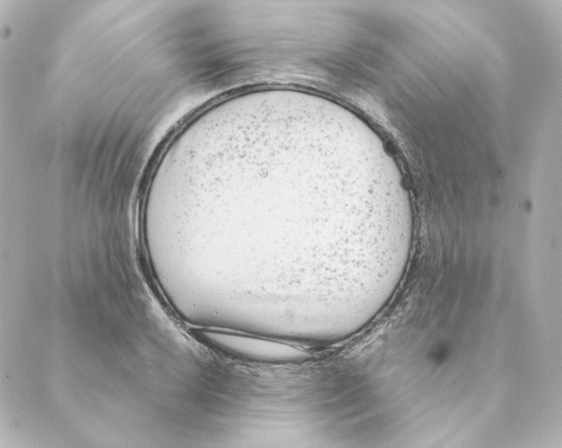 X0000088581032200706221311