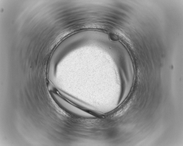 X0000088581033200706221311