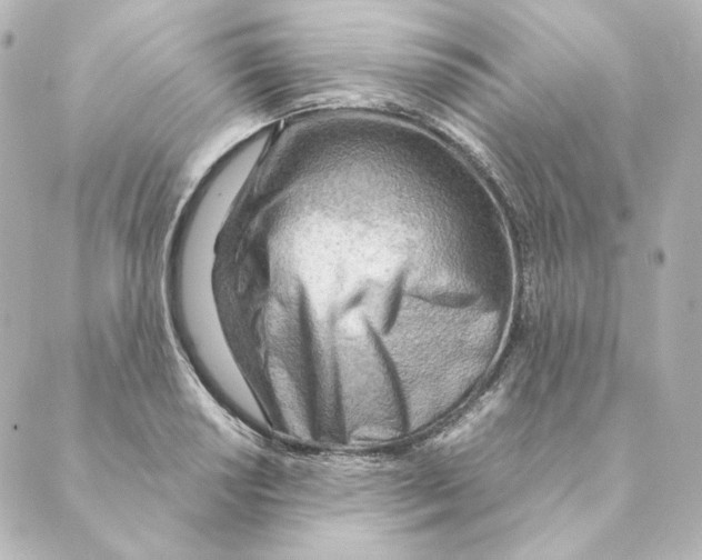 X0000088581034200706221311