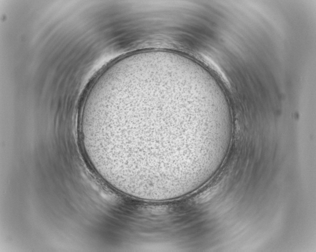 X0000088581035200706221311