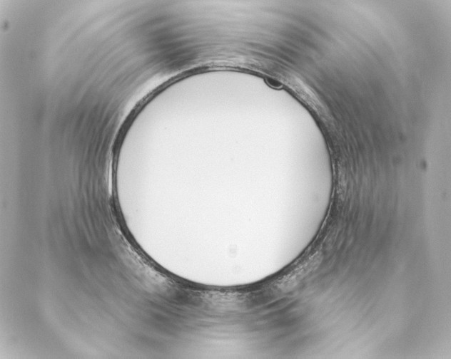 X0000088581036200706221311