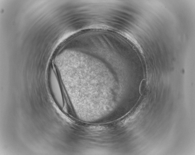 X0000088581037200706221311