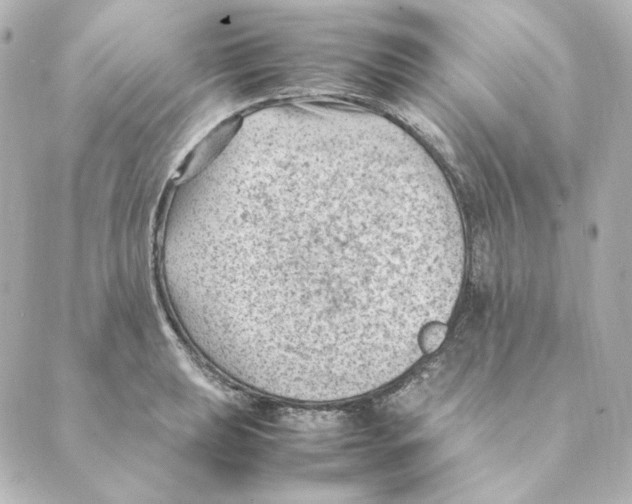 X0000088581039200706221311