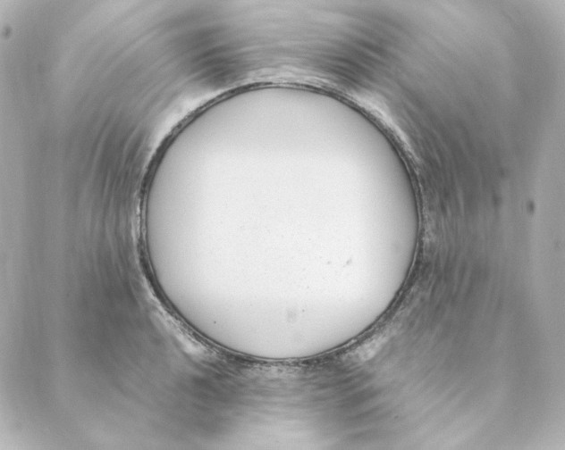 X0000088581040200706221311