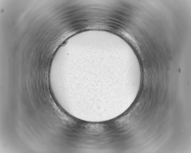 X0000088581041200706221311