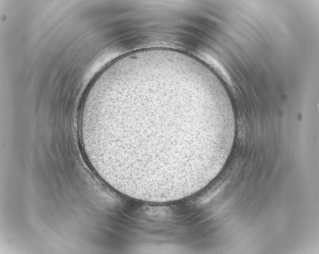 X0000088581043200706221311