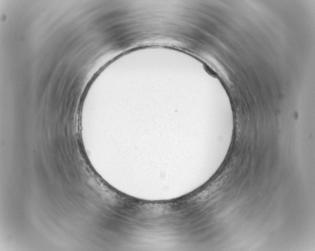 X0000088581044200706221311