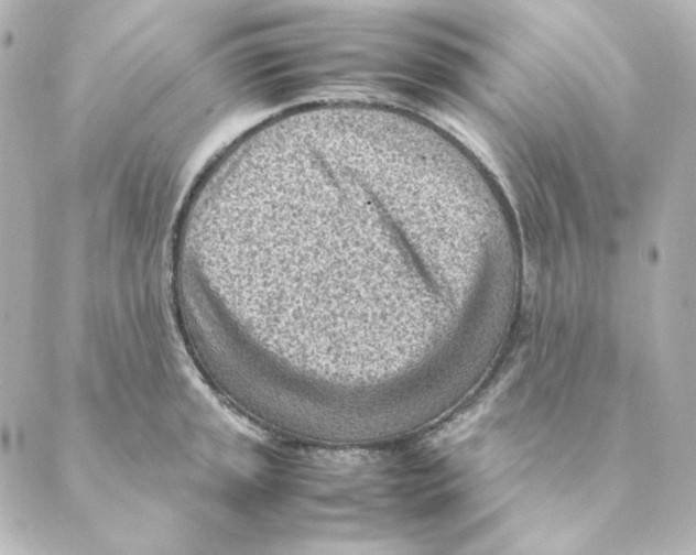 X0000088581045200706221311