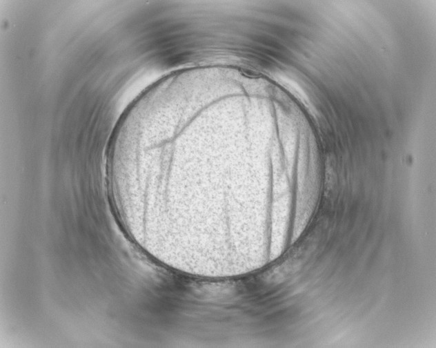 X0000088581047200706221311