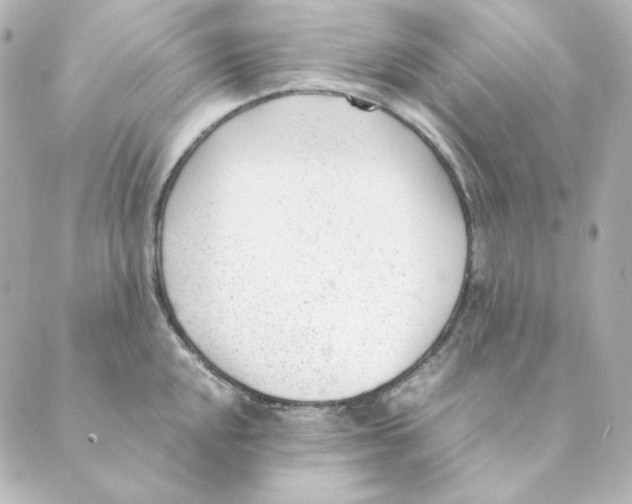 X0000088581048200706221311