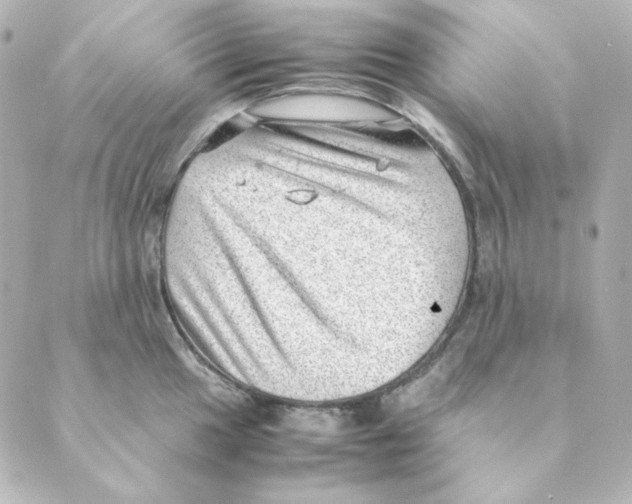 X0000088581049200706221311