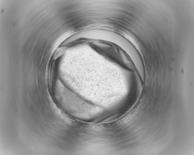 X0000088581050200706221311