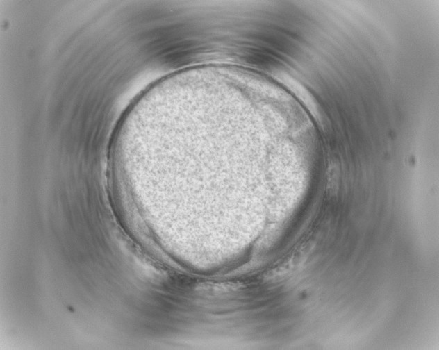 X0000088581051200706221311