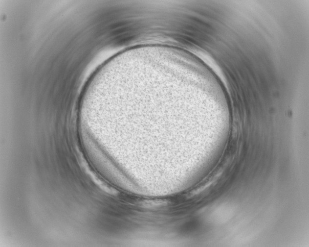 X0000088581053200706221311