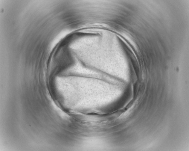 X0000088581054200706221311