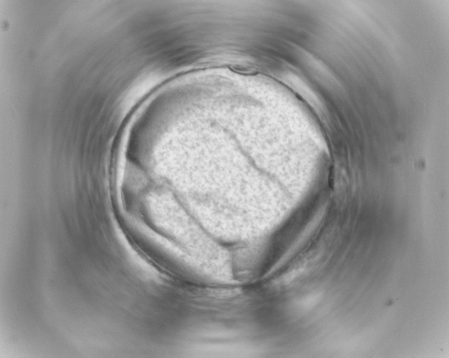 X0000088581055200706221311