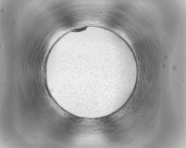 X0000088581056200706221311