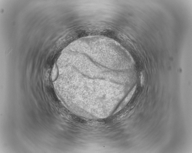 X0000088581059200706221310