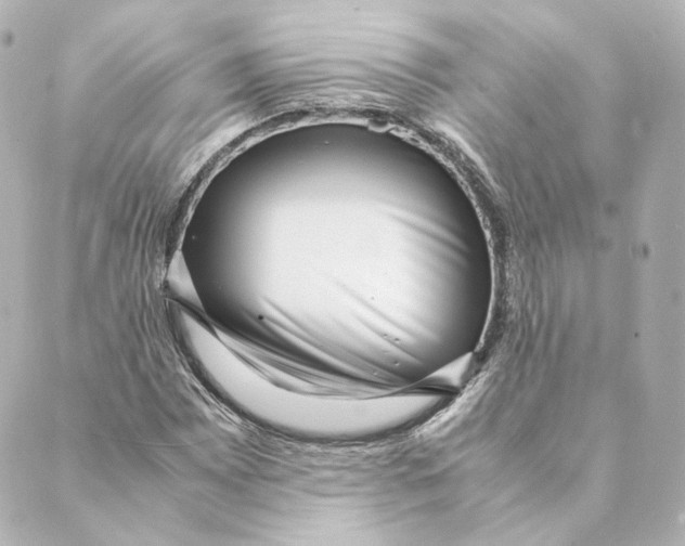 X0000088581065200706221310