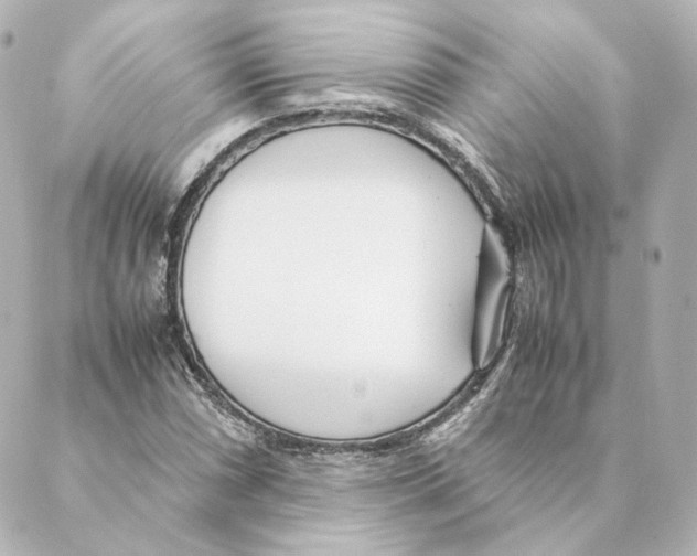 X0000088581066200706221310