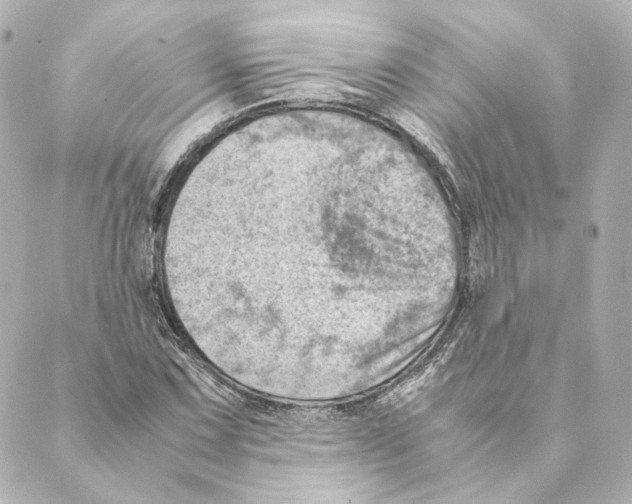 X0000088581067200706221310