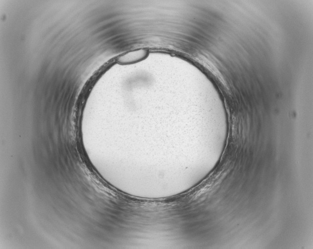 X0000088581068200706221310