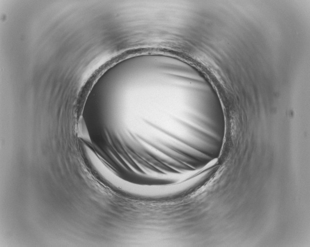 X0000088581069200706221310