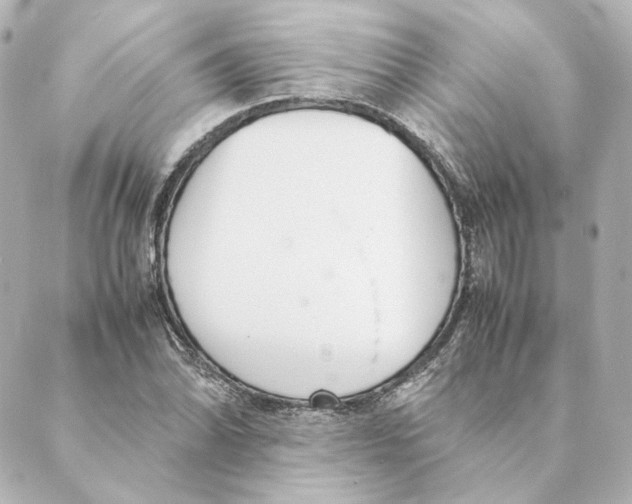 X0000088581070200706221310