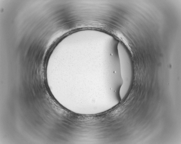 X0000088581072200706221310