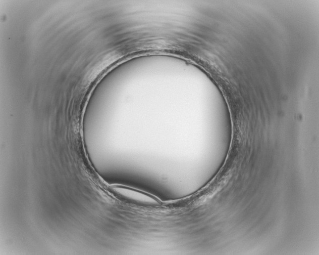 X0000088581073200706221310