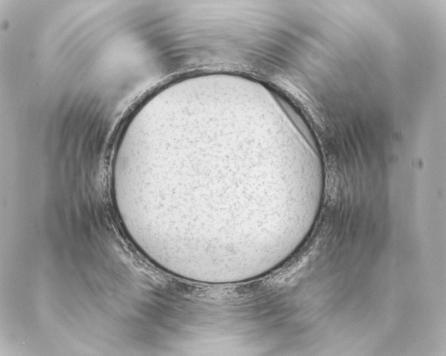 X0000088581074200706221310