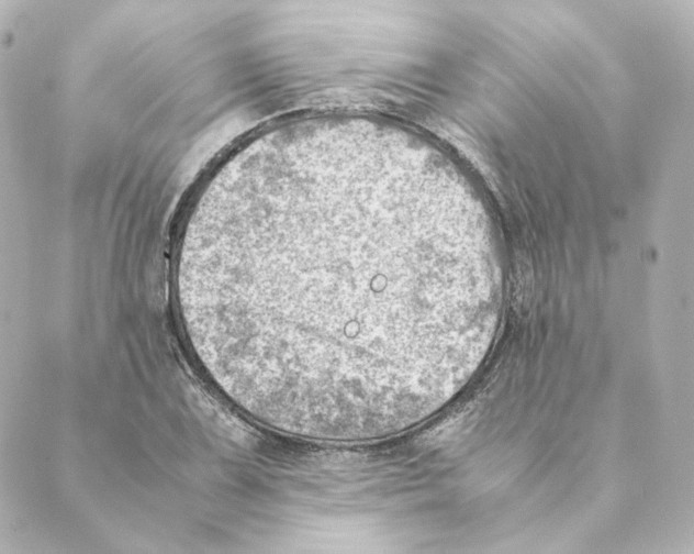 X0000088581075200706221310