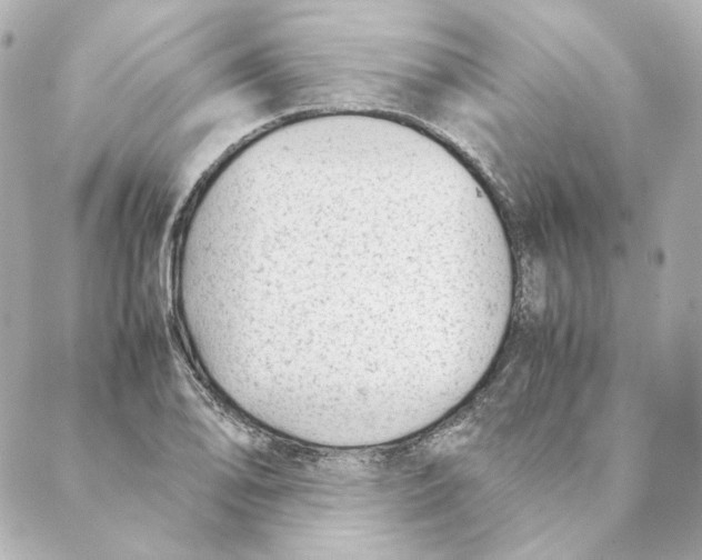 X0000088581078200706221310