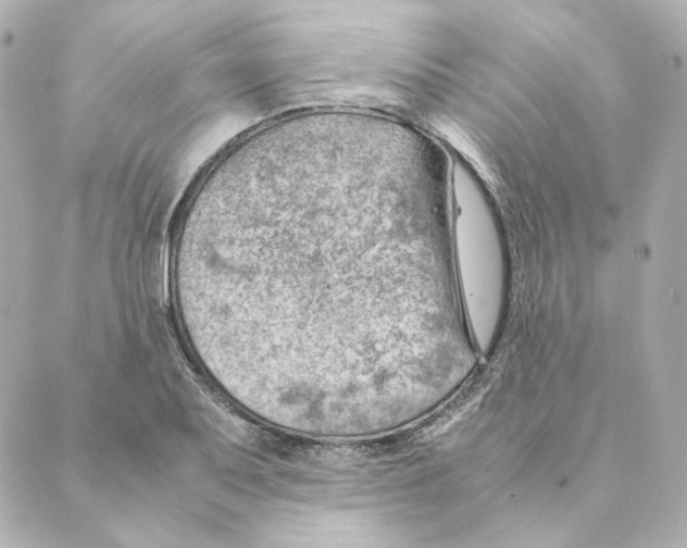 X0000088581079200706221310