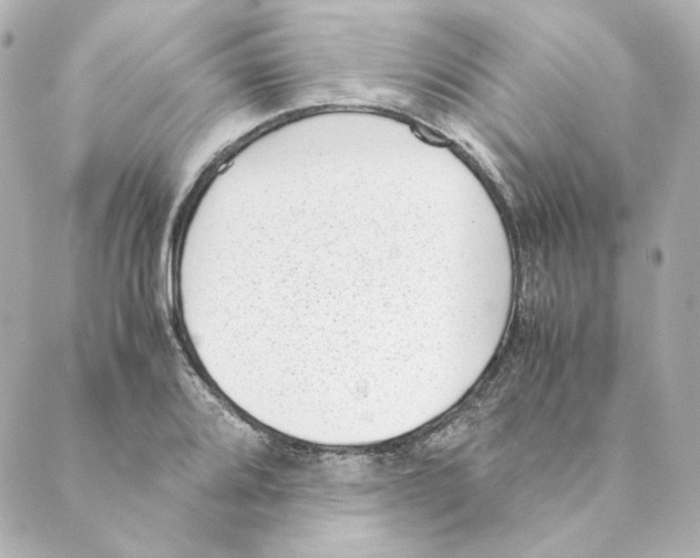 X0000088581080200706221310