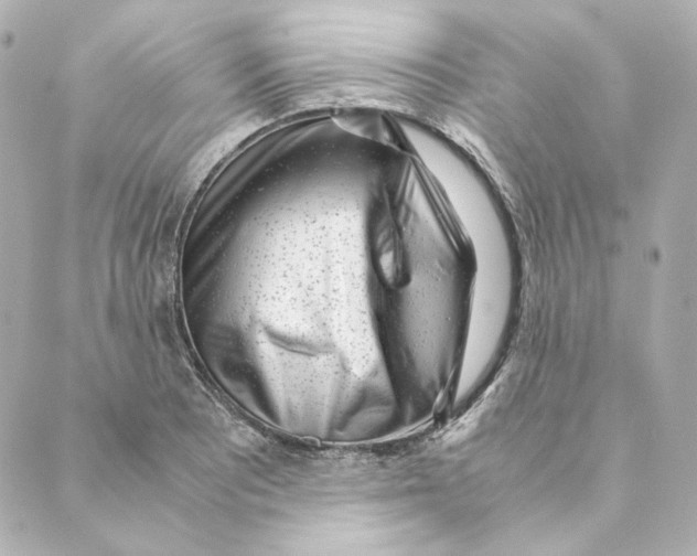 X0000088581081200706221310