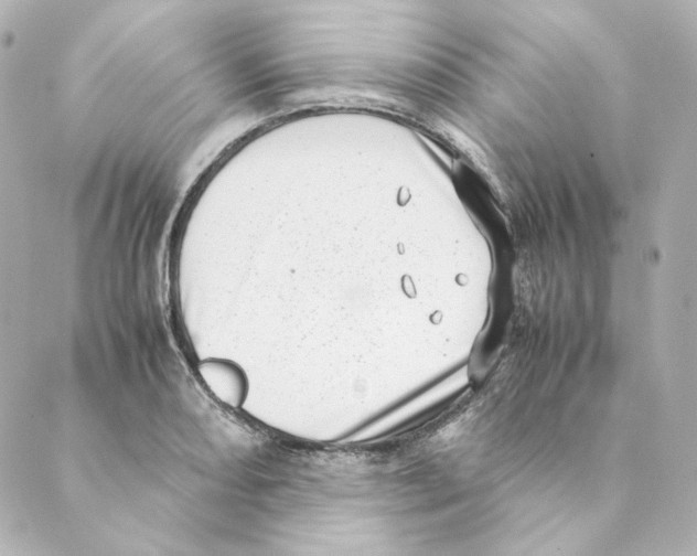 X0000088581082200706221310