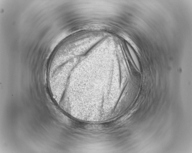 X0000088581083200706221310