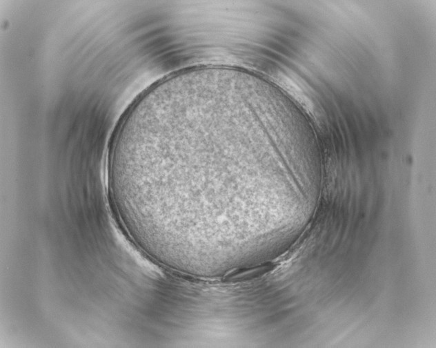 X0000088581084200706221310