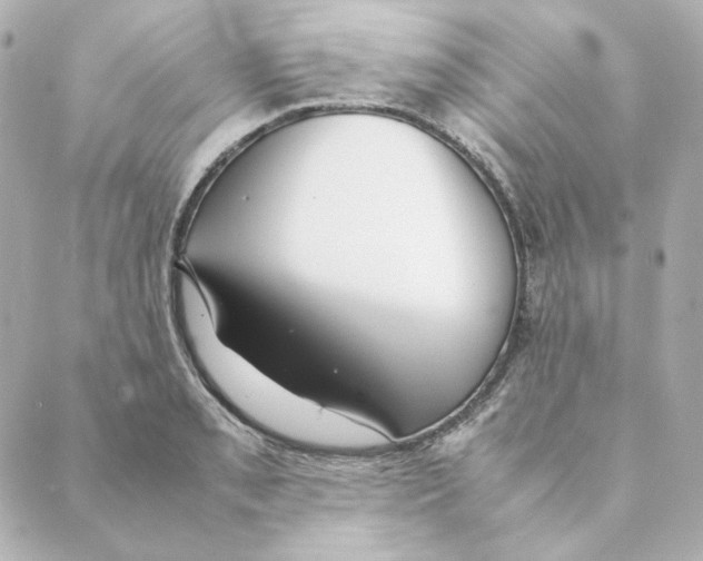 X0000088581085200706221310