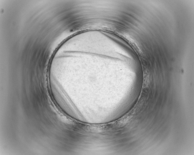 X0000088581086200706221310