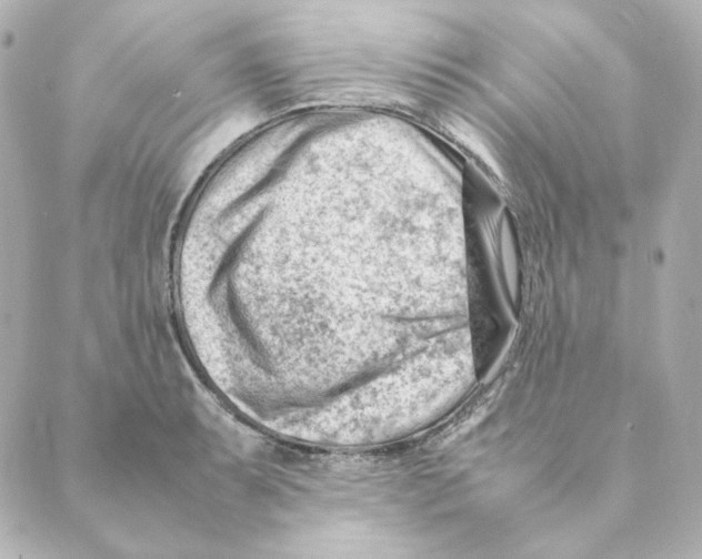 X0000088581087200706221310