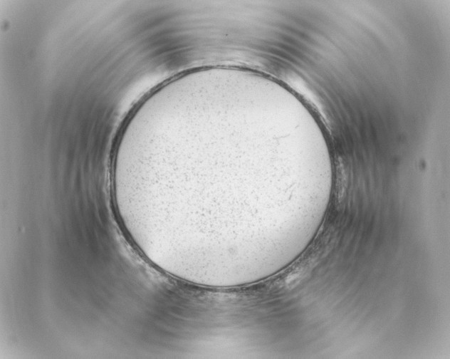 X0000088581088200706221310