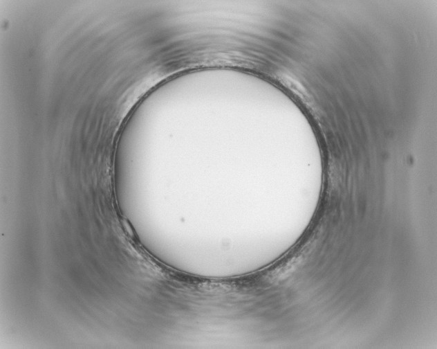 X0000088581089200706221310